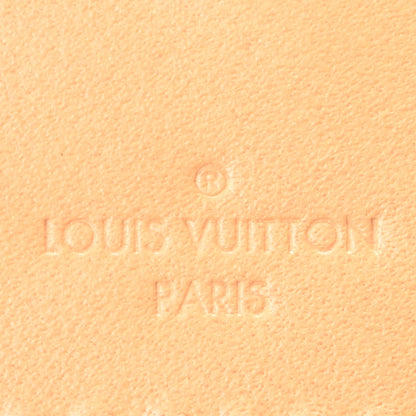 Louis Vuitton Monogram Carryall PM 6 of 9