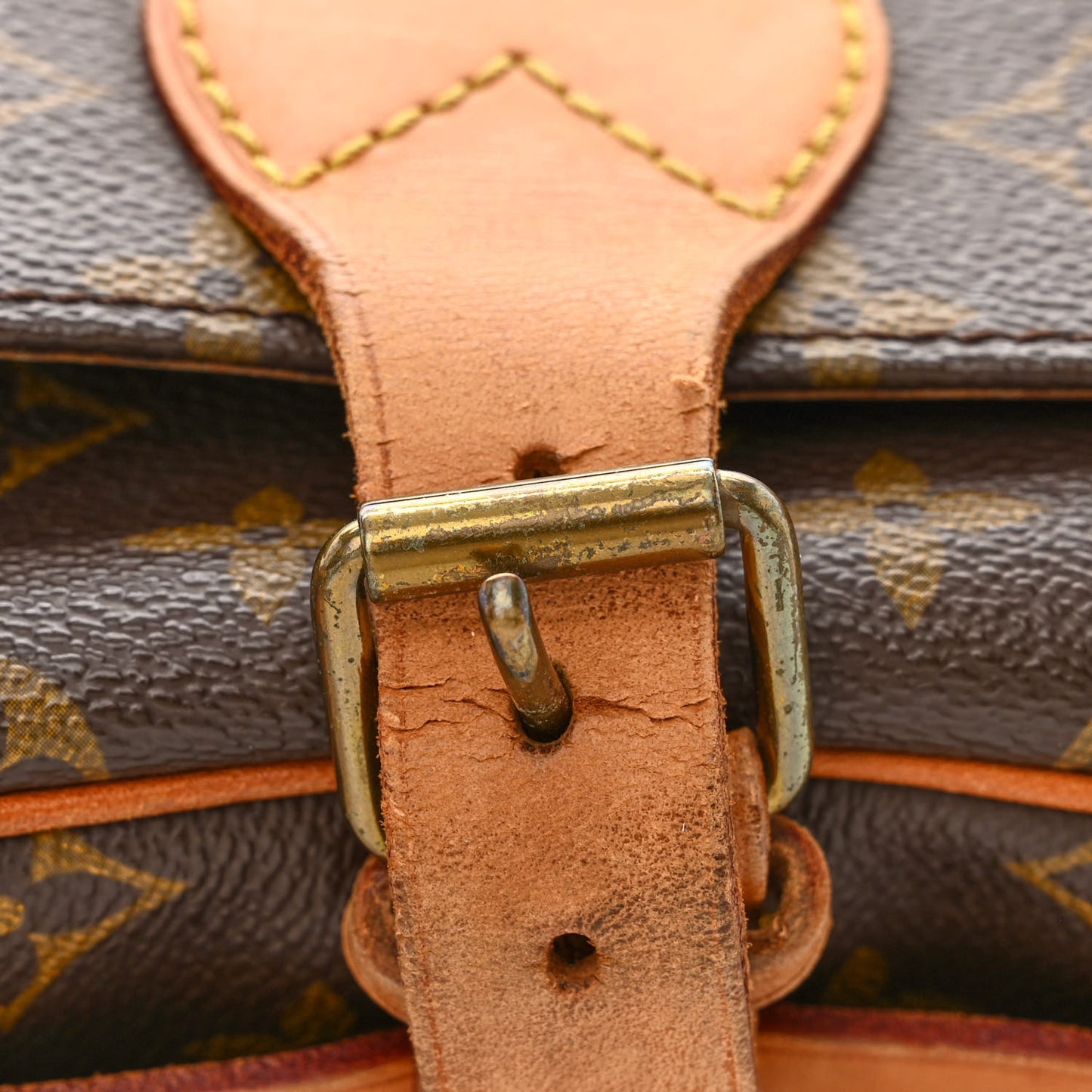 Monogram Cartouchiere 22