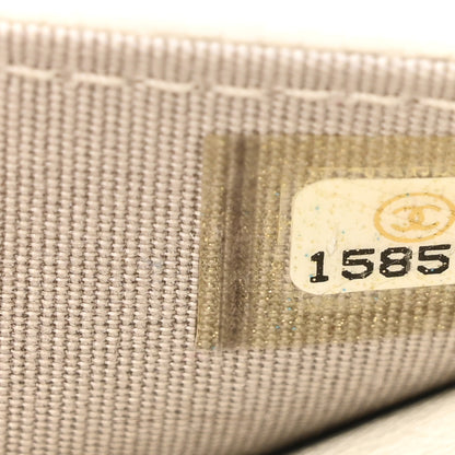 Chanel Metallic Caviar Sevruga Wallet on Chain WOC White 8 of 11