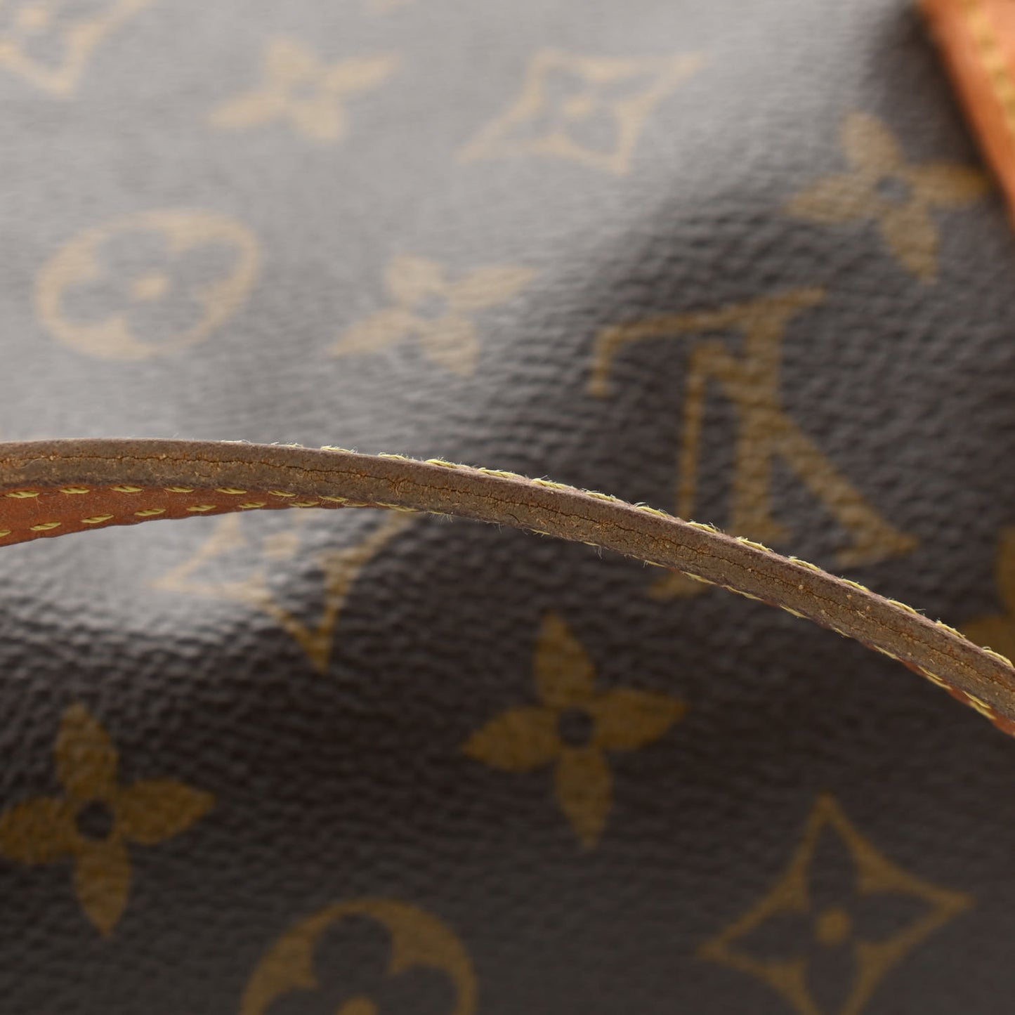 Monogram Papillon 30 With Companion