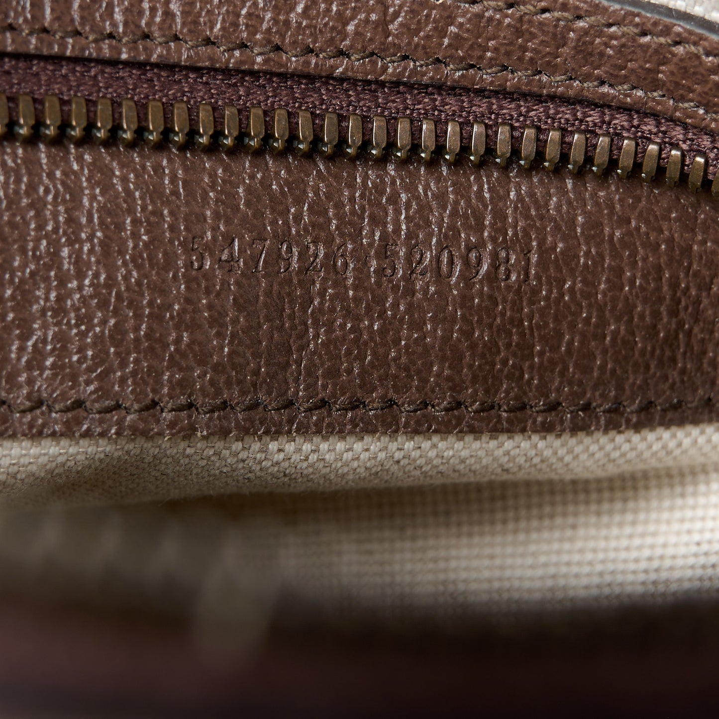 GG Supreme Monogram Web Small Ophidia Messenger Bag Brown