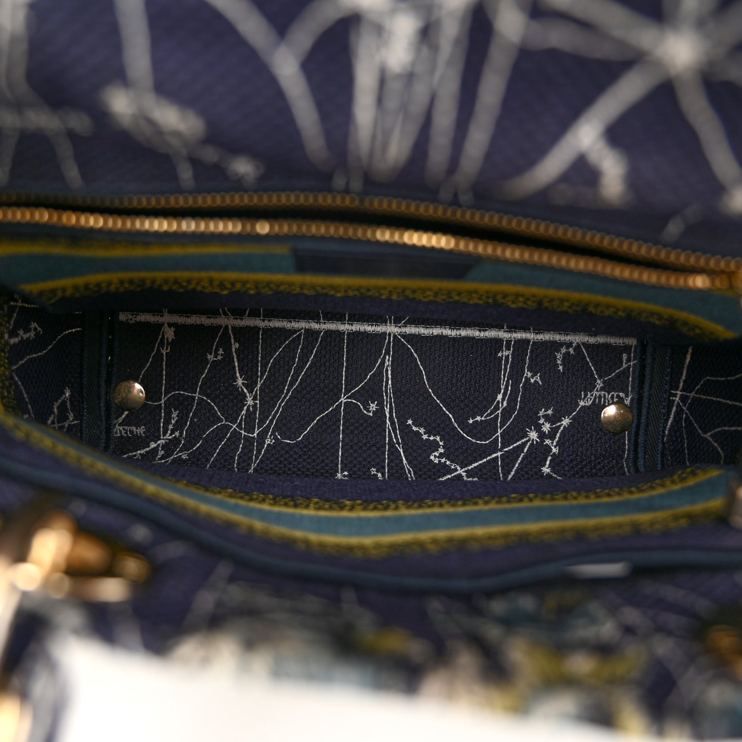 Canvas Embroidered Zodiac Medium Lady D-Lite Blue Multicolor