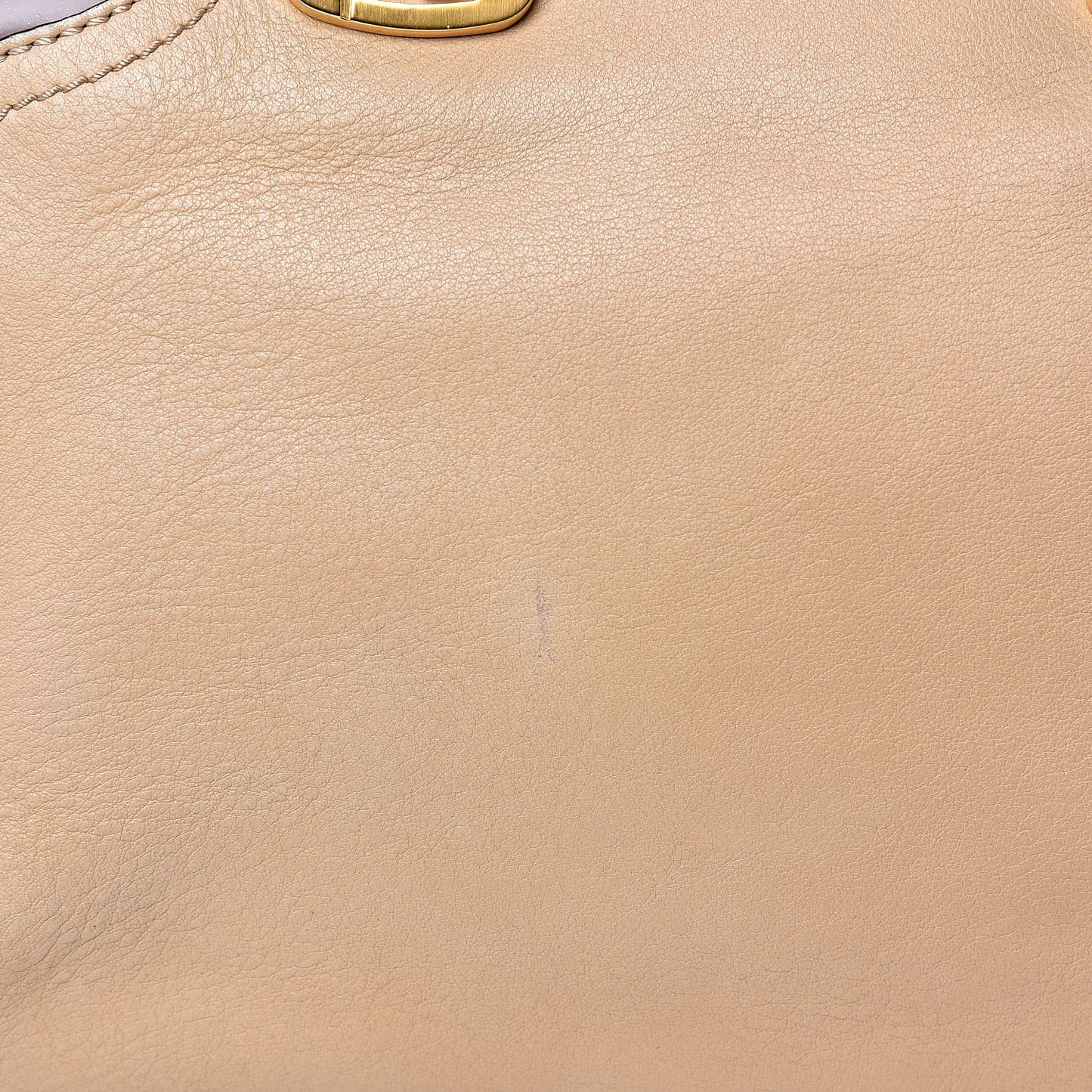 Calfskin Patent Small Chameleon Tote Cognac Bordeaux