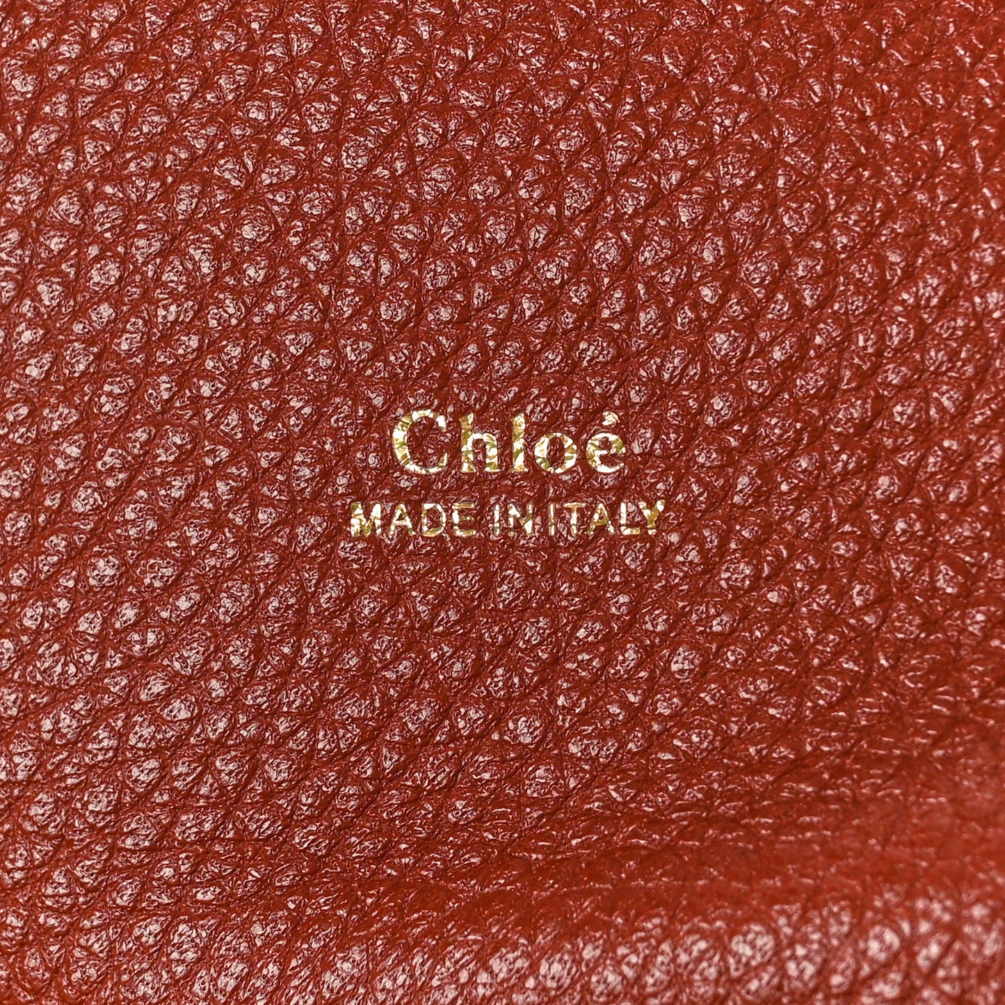 Shiny Grained Calfskin Medium Aby Day Shoulder Bag Sepia Brown