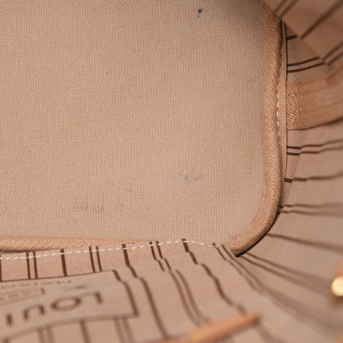 Monogram Neo Neverfull PM