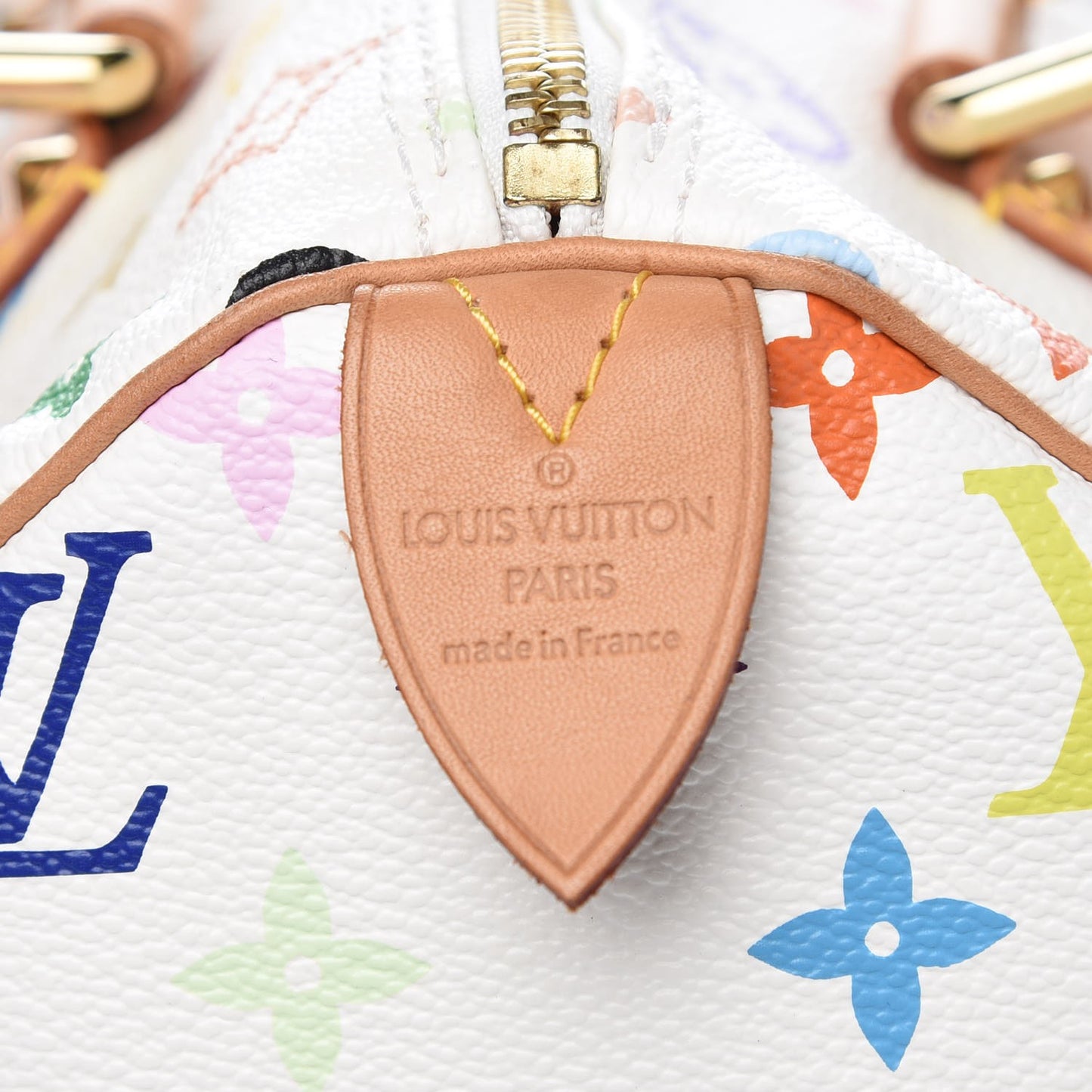 Monogram Multicolor Speedy 30 White