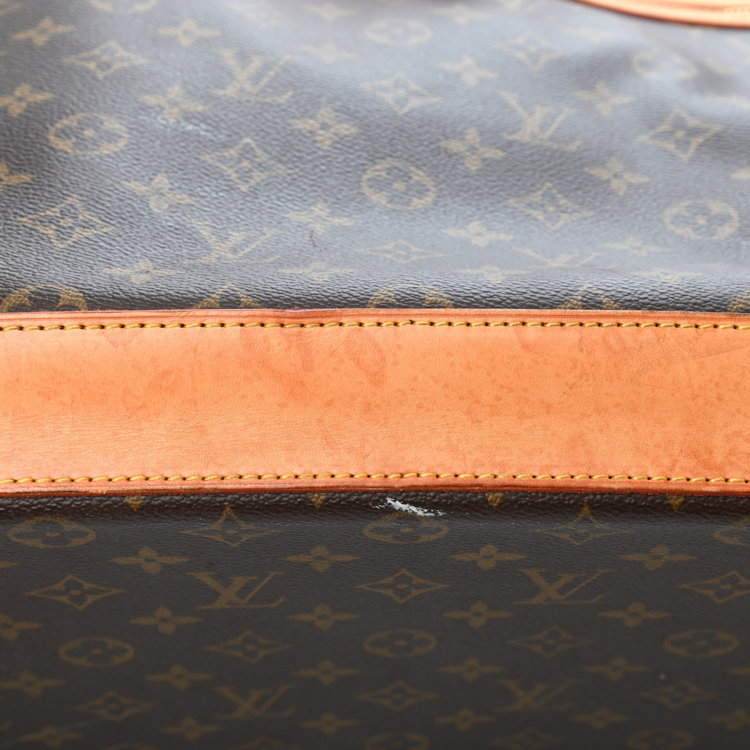 Louis Vuitton Monogram Alma Voyage GM 10 of 11