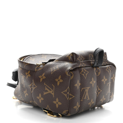 Louis Vuitton Monogram Palm Springs Backpack Mini 4 of 9