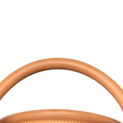 Louis Vuitton Monogram Sac Chien 40 Pet Carrier 14 of 20
