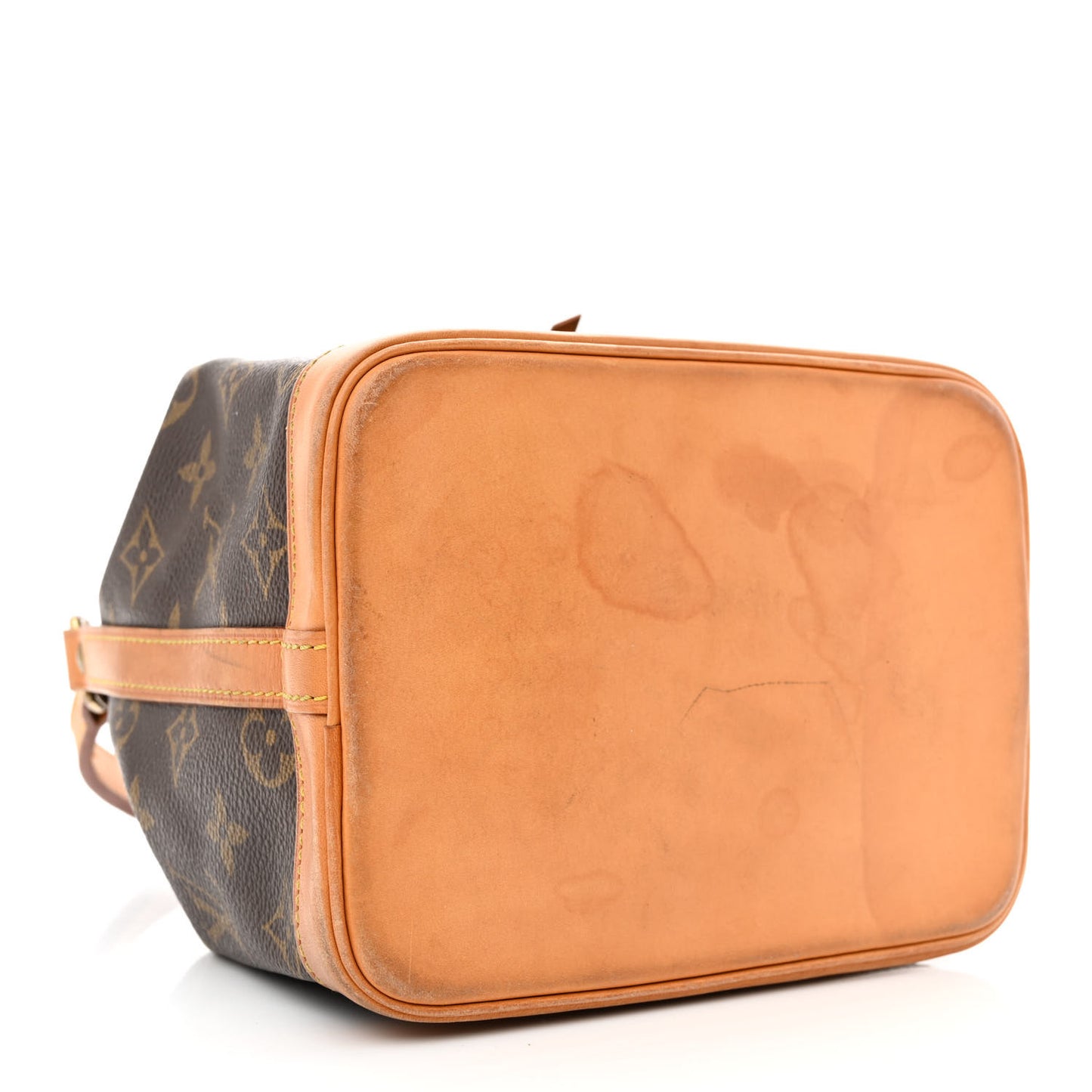 Monogram Mini Noe