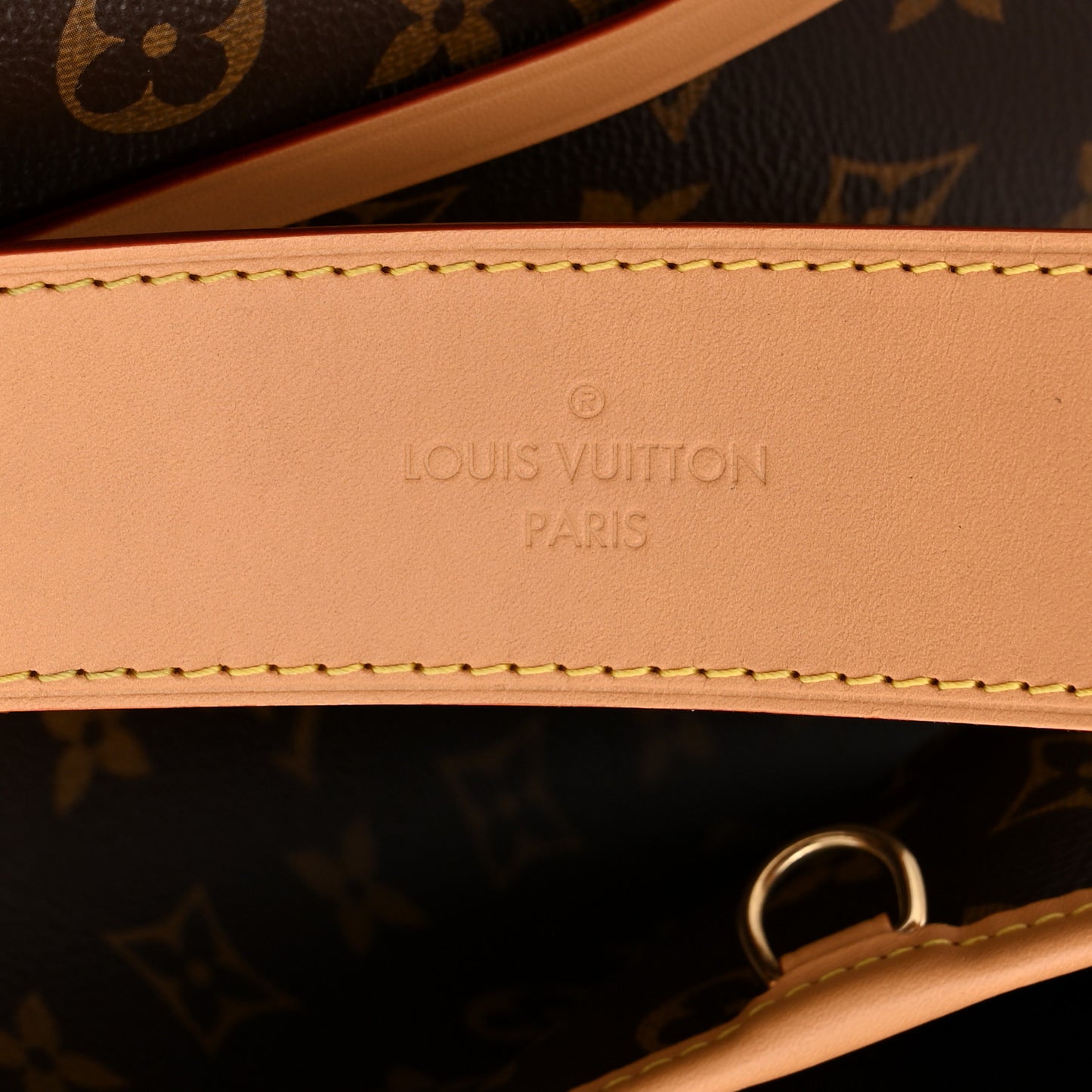 Monogram CarryAll MM