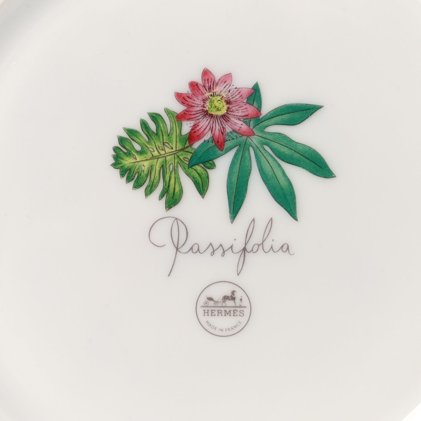 Porcelain Passifolia Dessert Plate N°2 Set of 2