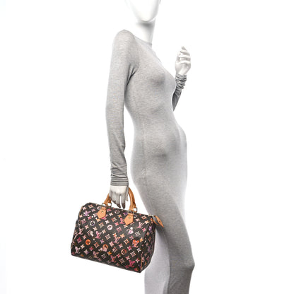 Louis Vuitton Watercolor Aquarelle Speedy 30 Brown 2 of 11