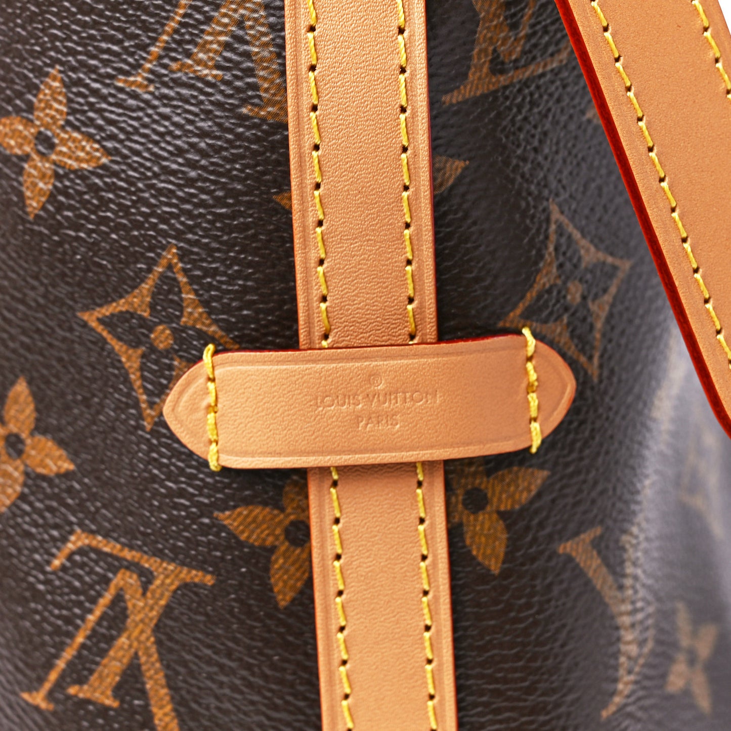 Monogram CarryAll PM