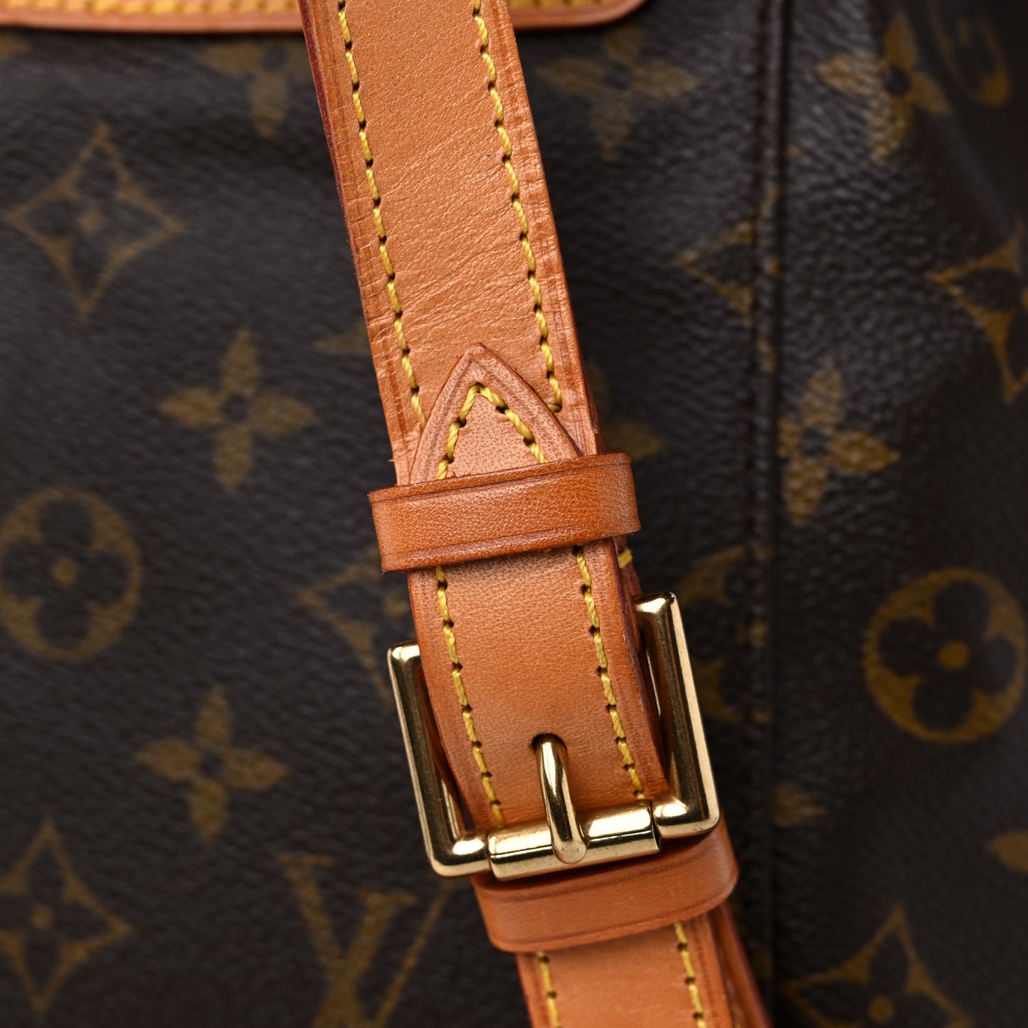 Monogram Montsouris MM Backpack