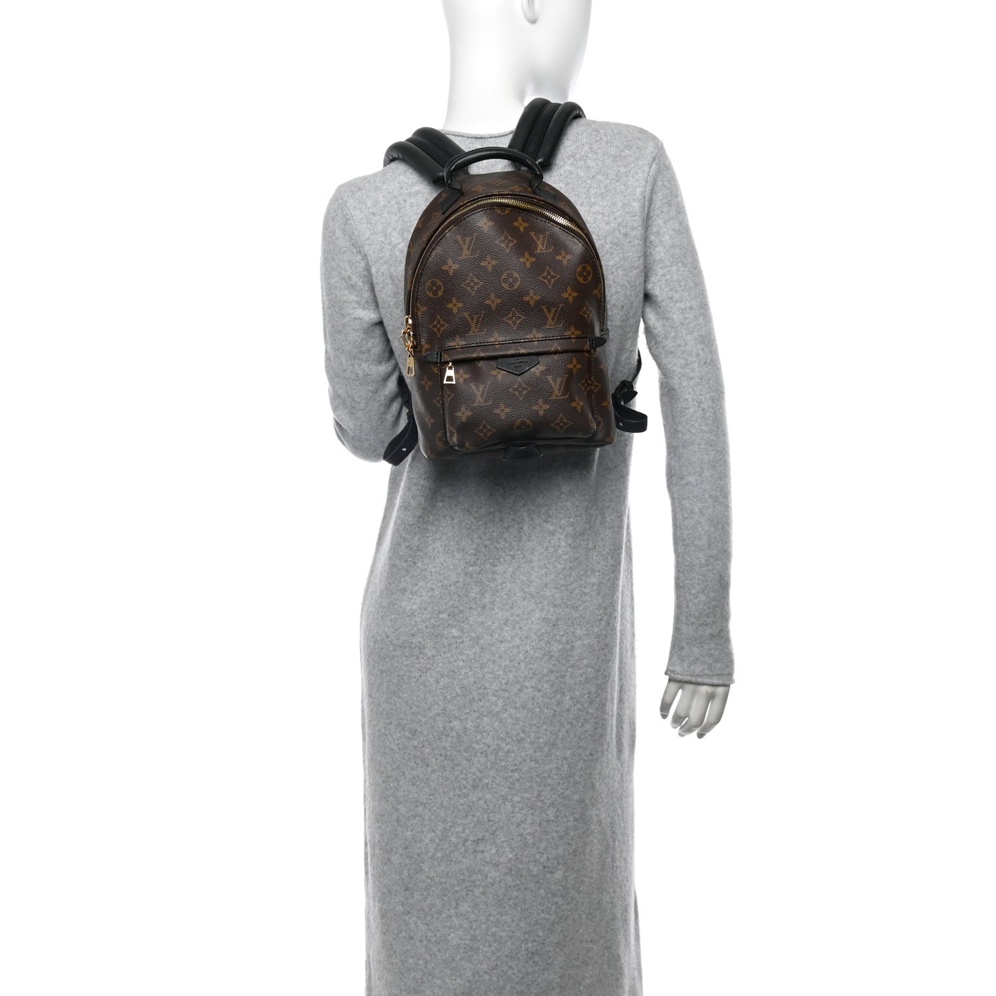 Monogram Palm Springs Backpack PM