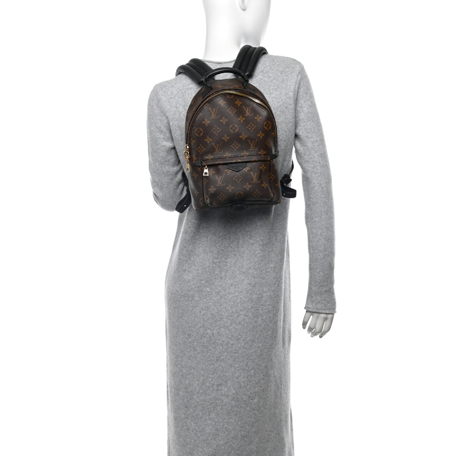Louis Vuitton Monogram Palm Springs Backpack PM 2 of 12