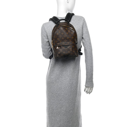 Louis Vuitton Monogram Palm Springs Backpack PM 2 of 12