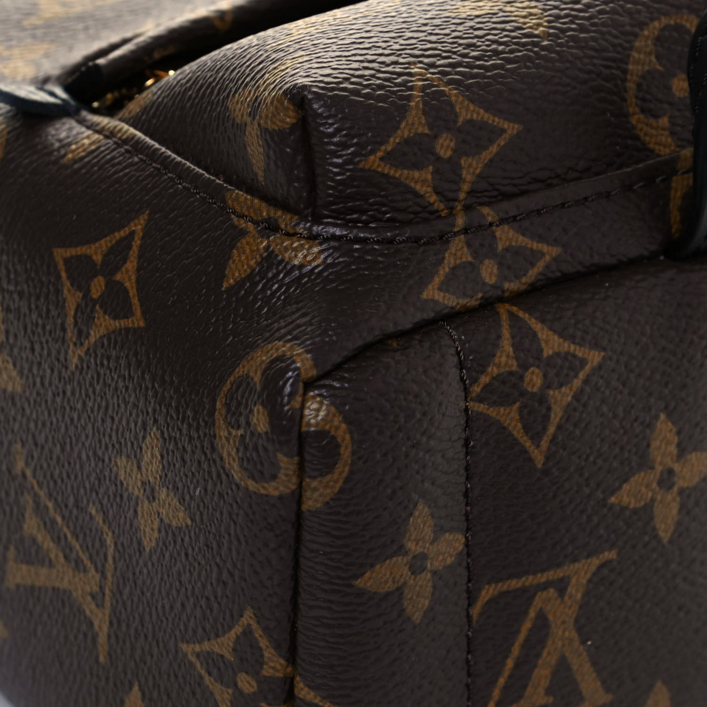 Monogram Palm Springs Backpack Mini