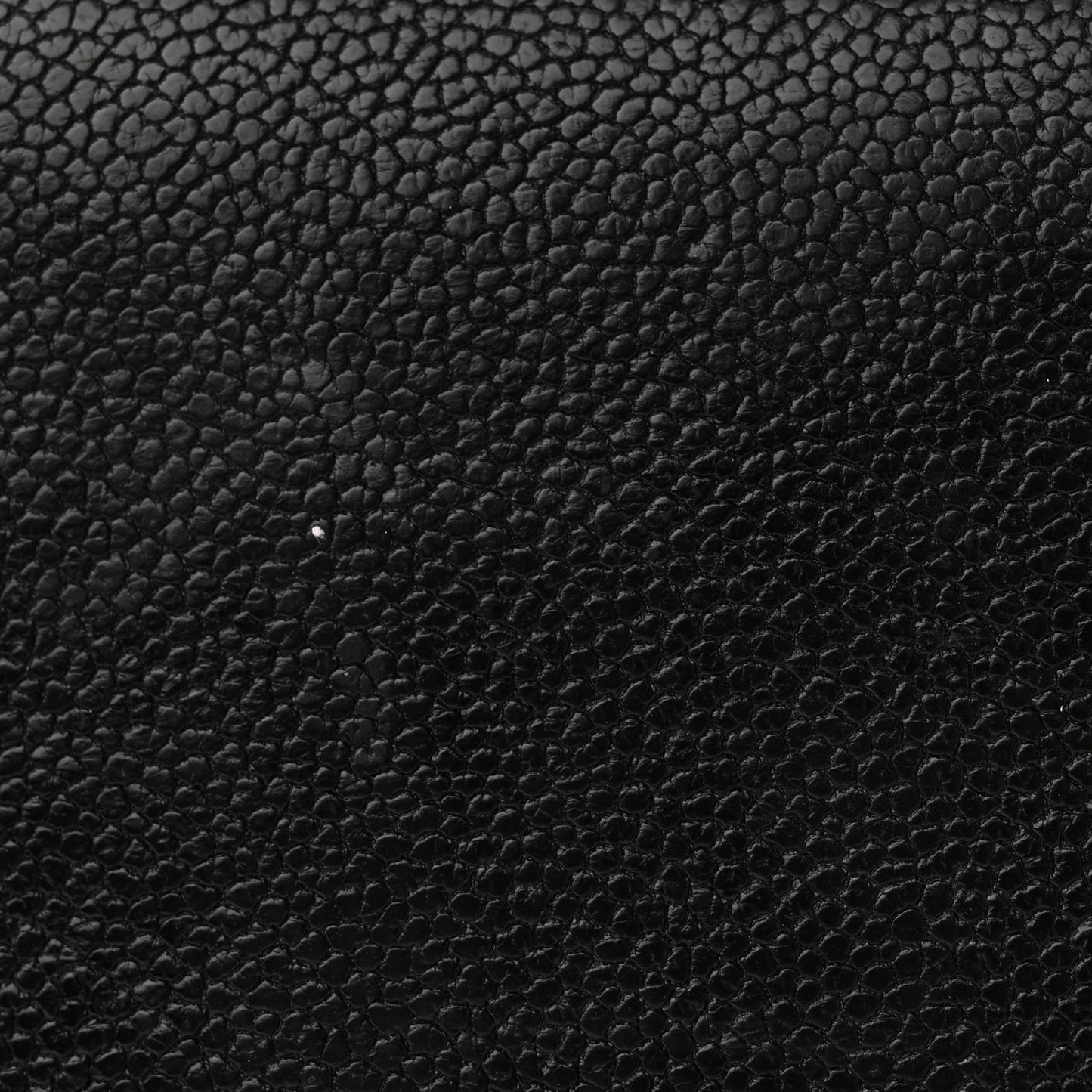 Caviar Outdoor Ligne Wallet Black