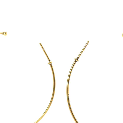 Christian Dior Metal Crystal J'Adior Hoop Earrings Aged Gold 4 of 4