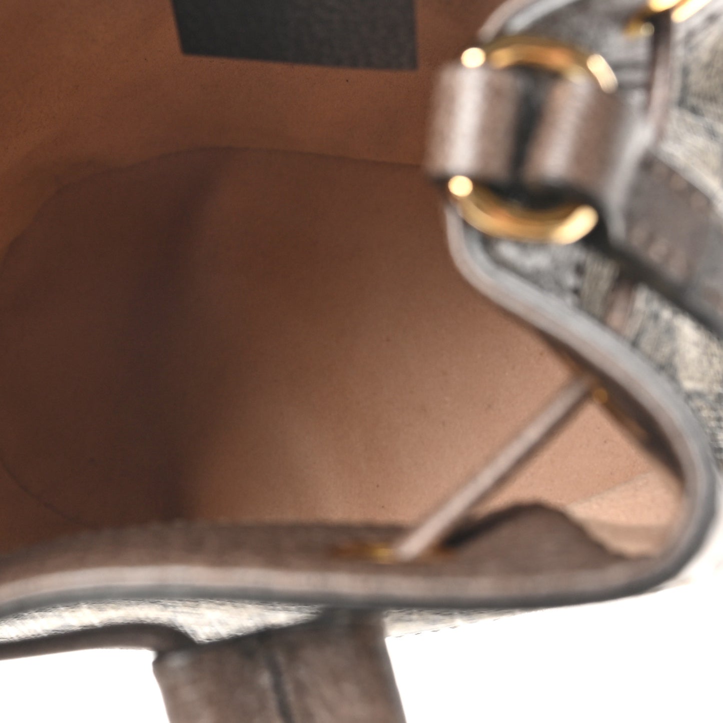 GG Supreme Monogram Web Mini Ophidia Bucket Bag Brown