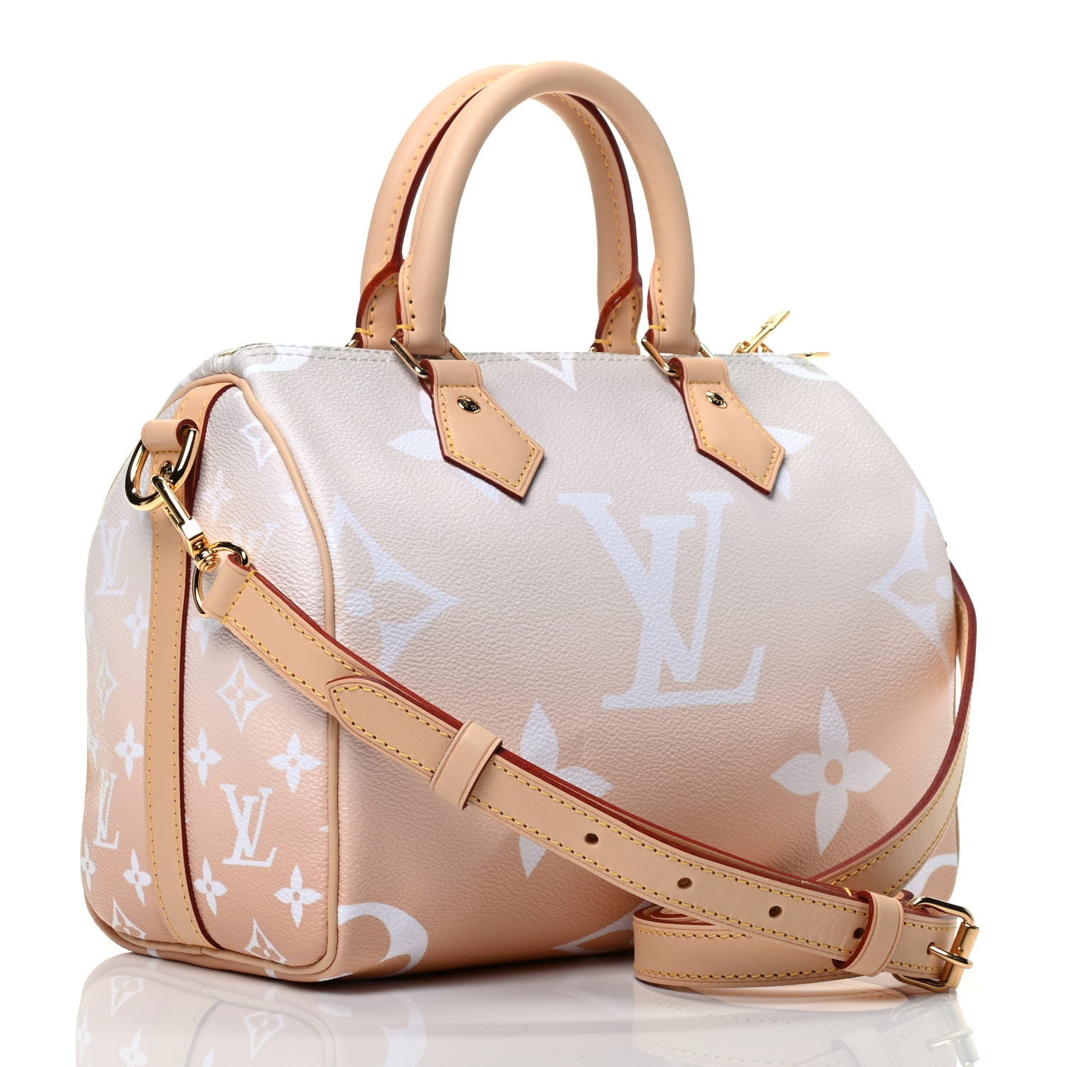 Louis Vuitton Monogram Giant By The Pool Speedy Bandouliere 25 Brume 4 of 10