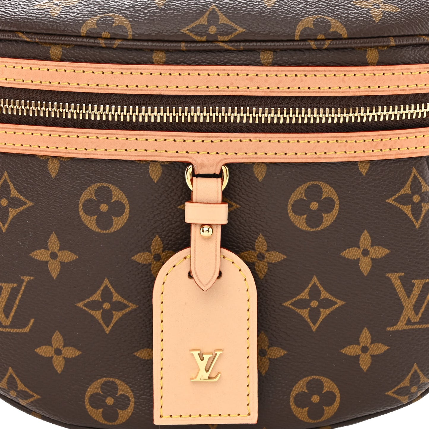Monogram High Rise Bumbag