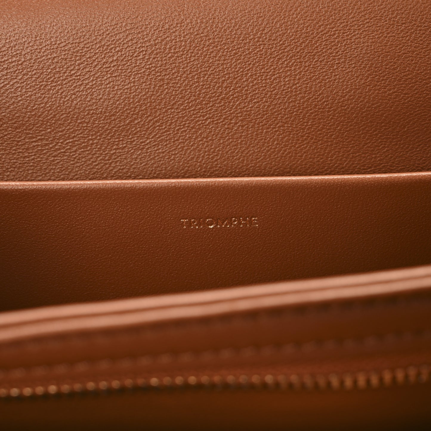 Canvas Calfskin Triomphe Embroidered Medium Triomphe Bag Tan