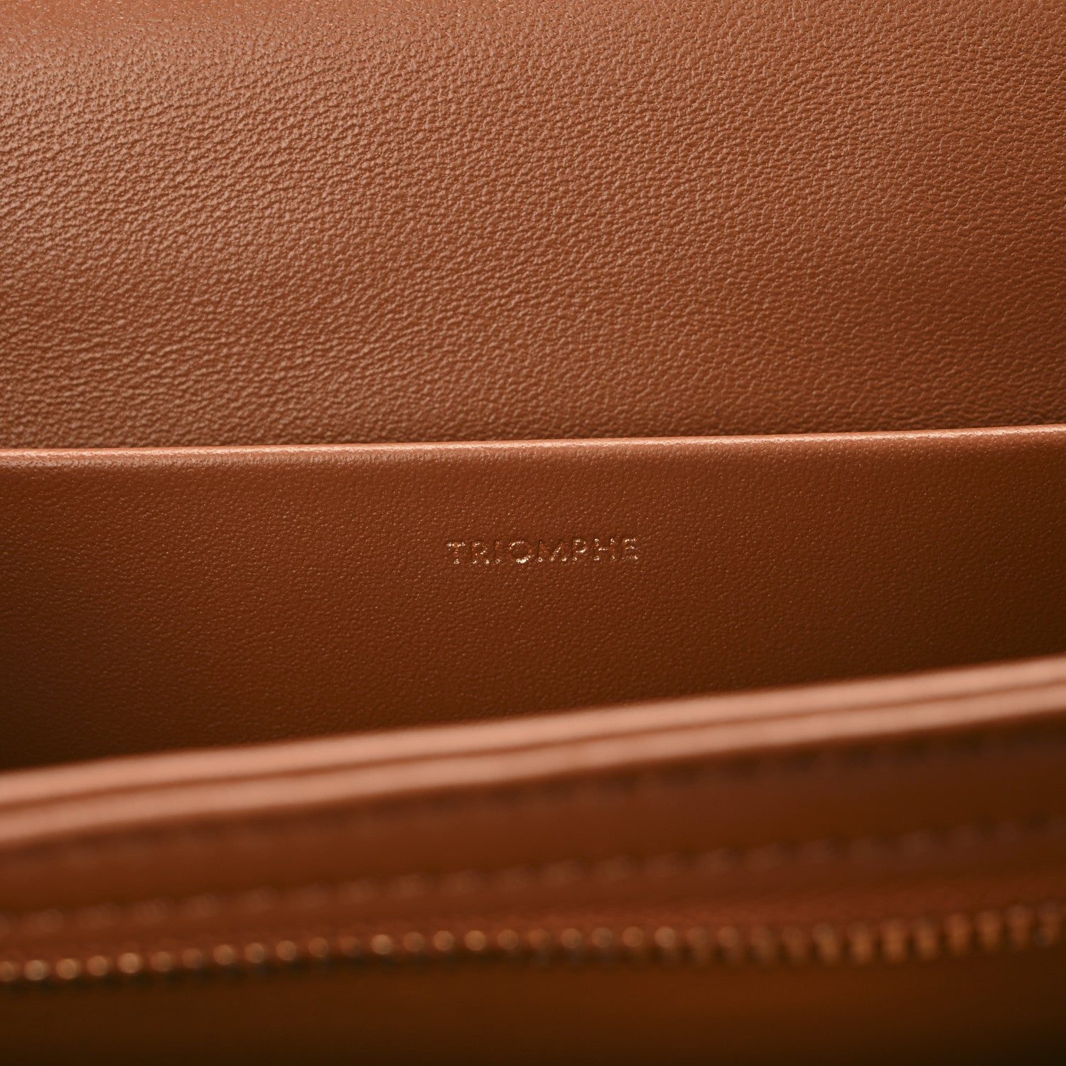 Celine Canvas Calfskin Triomphe Embroidered Medium Triomphe Bag Tan 7 of 11