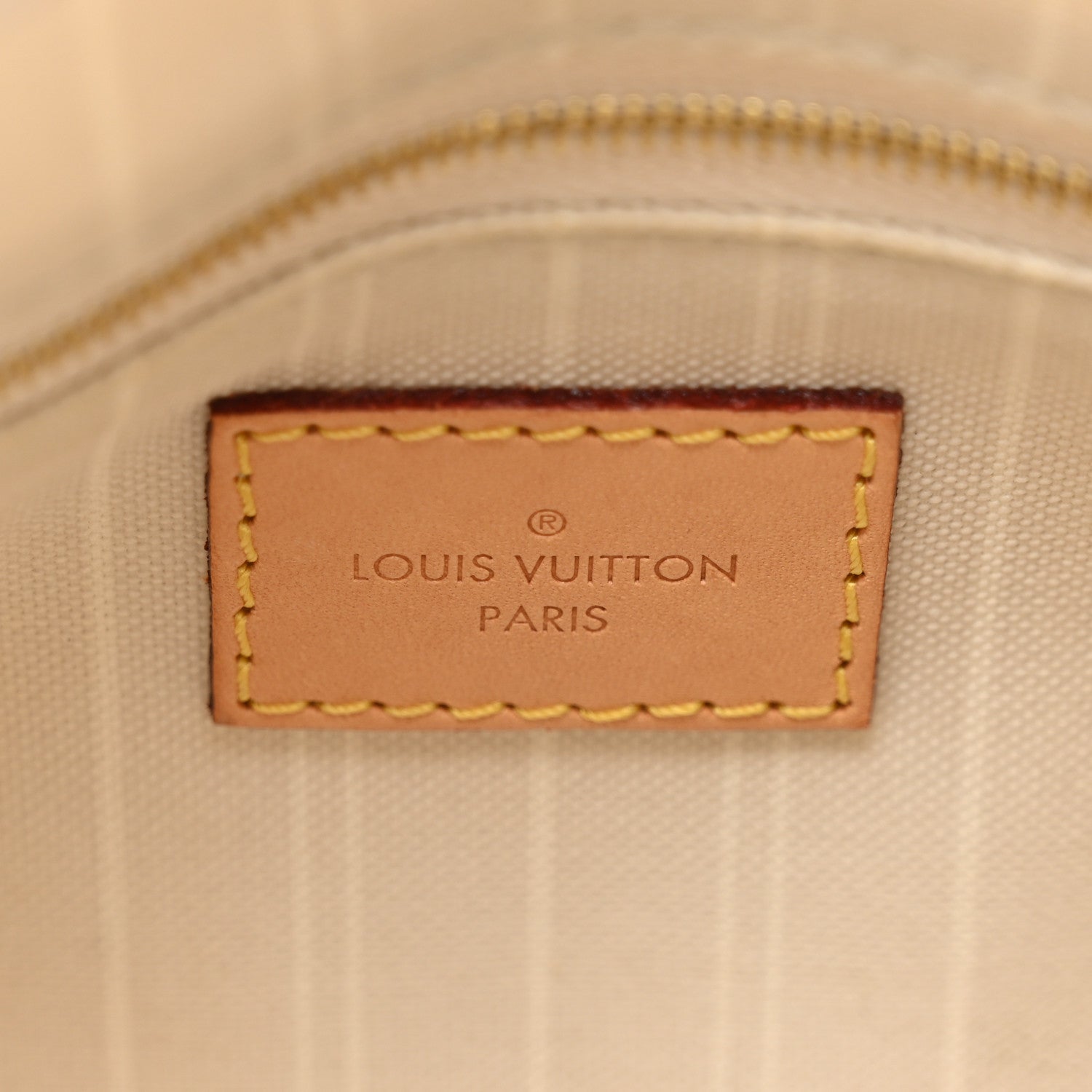 Louis Vuitton Monogram Giant By The Pool Speedy Bandouliere 25 Brume 7 of 11