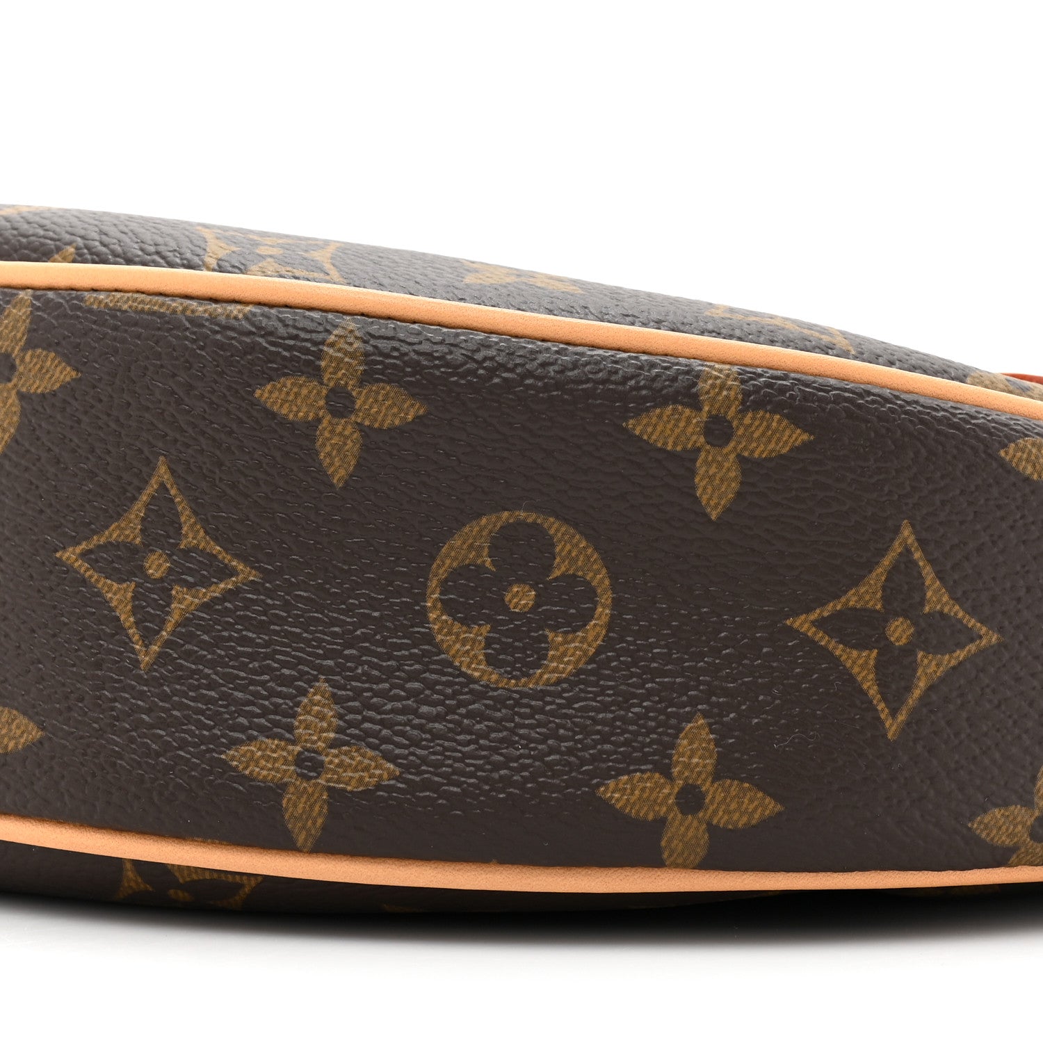 Louis Vuitton Monogram Loop 7 of 8