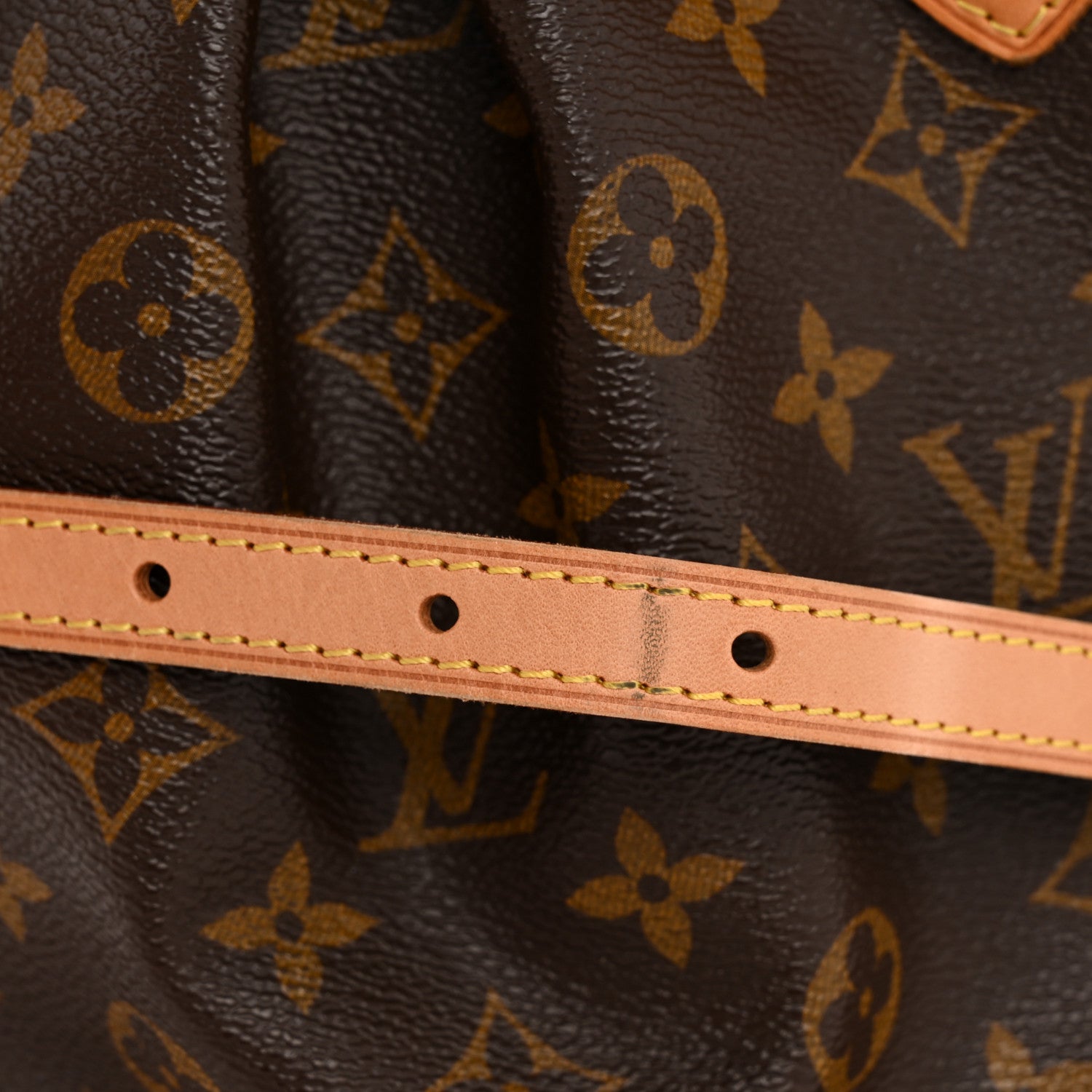 Louis Vuitton Monogram Palermo PM 12 of 13