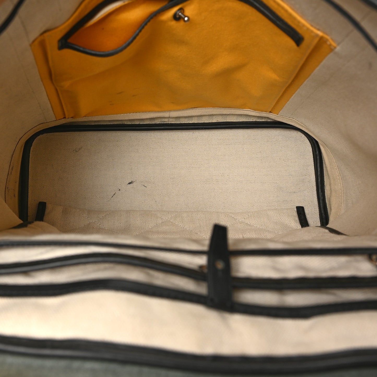 Goyardine Calfskin Alpin MM Backpack Black