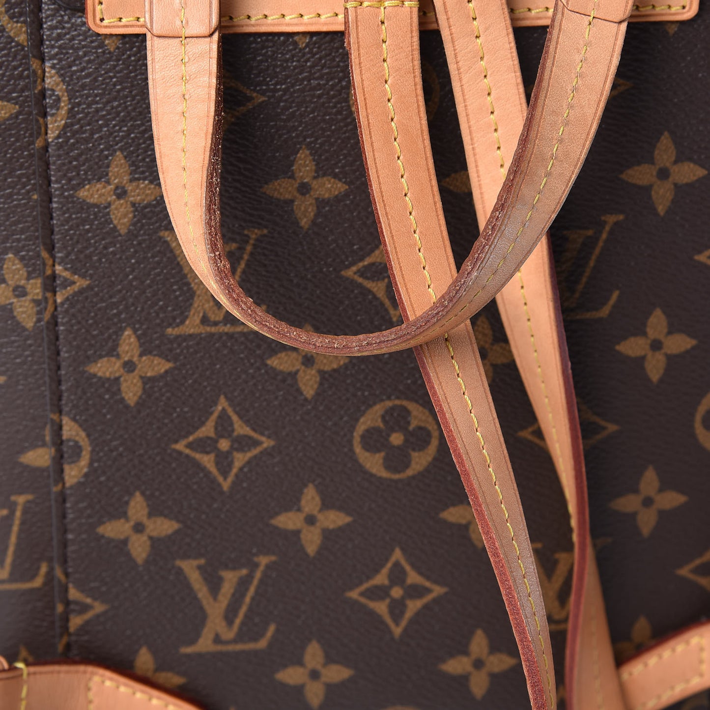 Monogram Montsouris NM Backpack