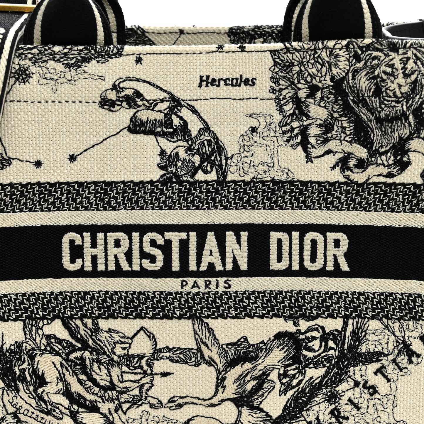 Calfskin Zodiac Toile De Jouy Small Book Tote With Strap Latte