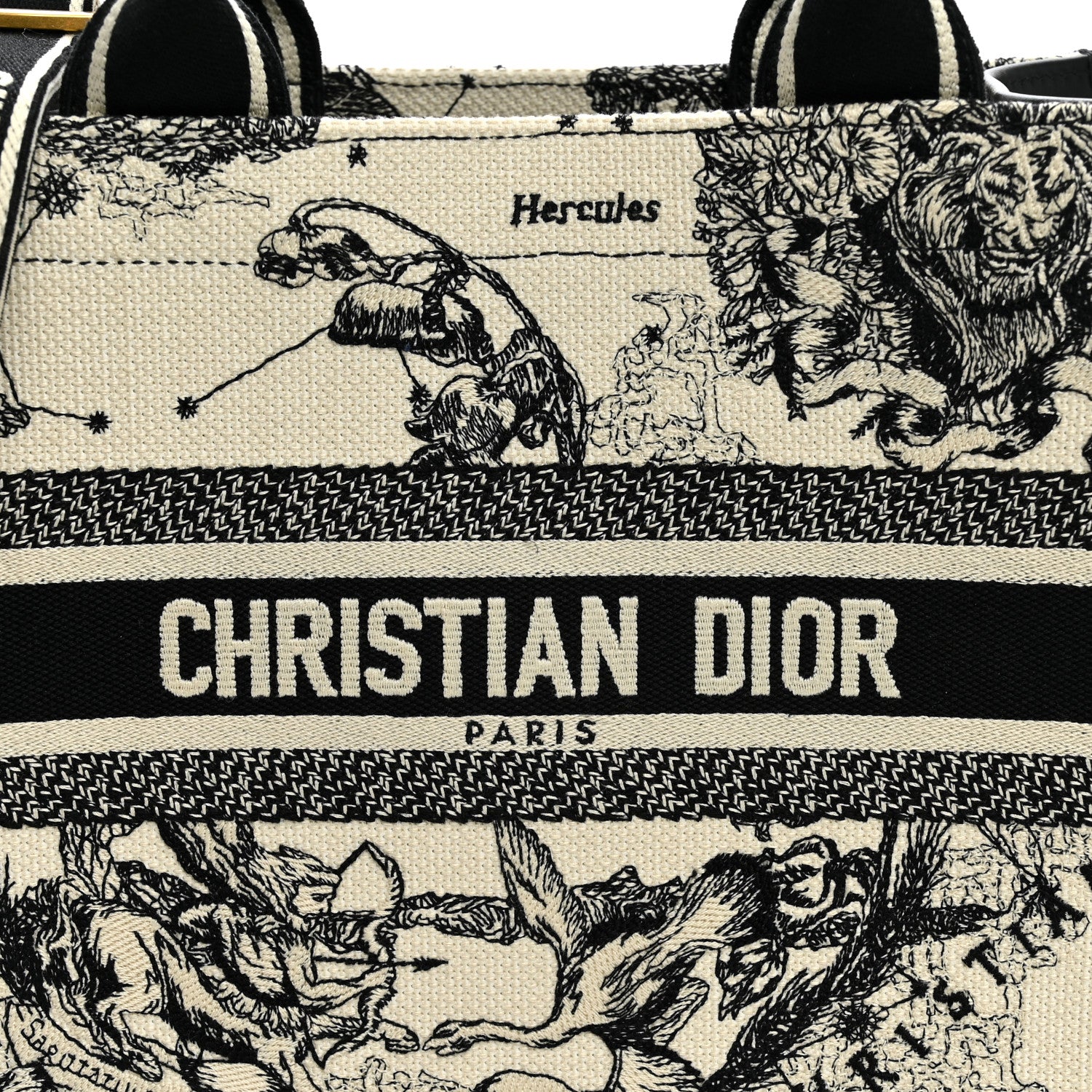 Christian Dior Calfskin Zodiac Toile De Jouy Small Book Tote With Strap Latte 7 of 10