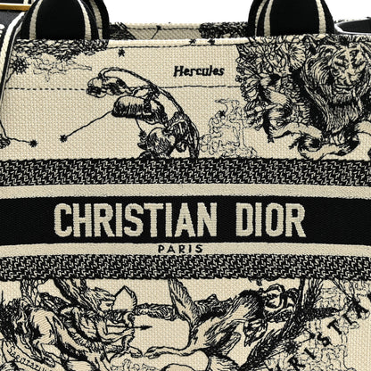 Christian Dior Calfskin Zodiac Toile De Jouy Small Book Tote With Strap Latte 7 of 10