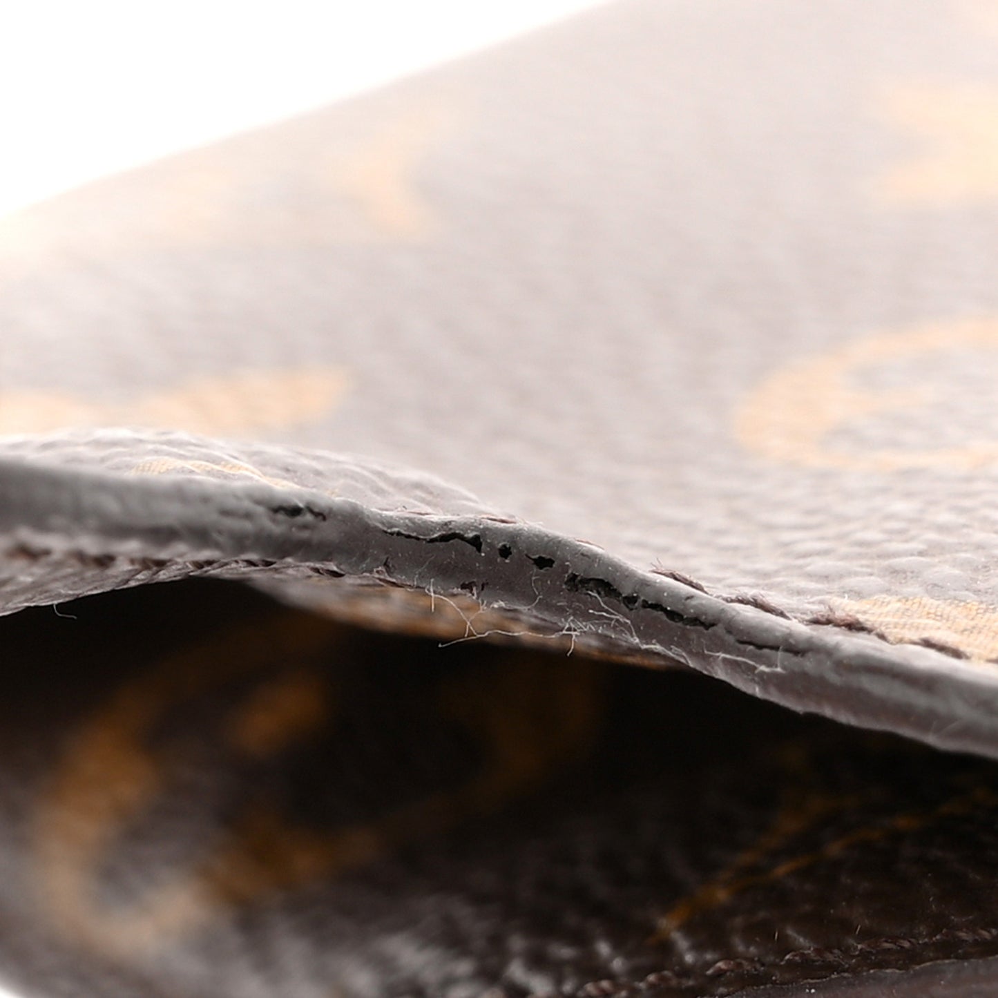 Monogram Sunglasses Case MM