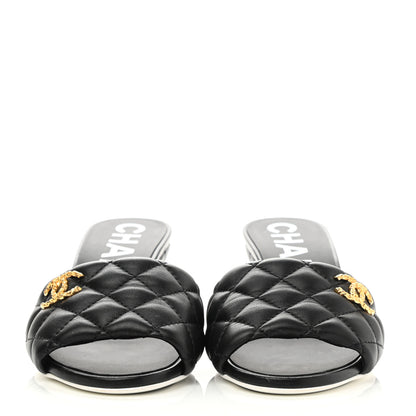 Chanel Lambskin Quilted Textured CC Mules 35.5 Black 2 of 8