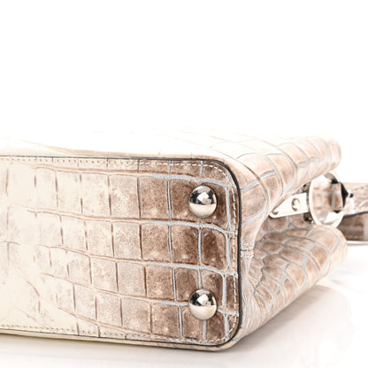 Louis Vuitton Himalaya Crocodile BB Capucines 8 of 8
