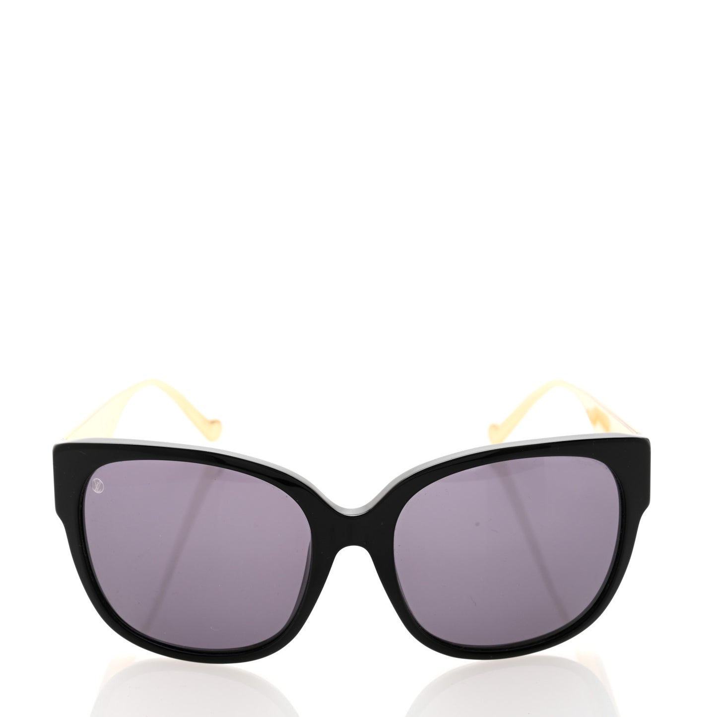 Acetate Epi Cameleon Sunglasses Z0869W Black