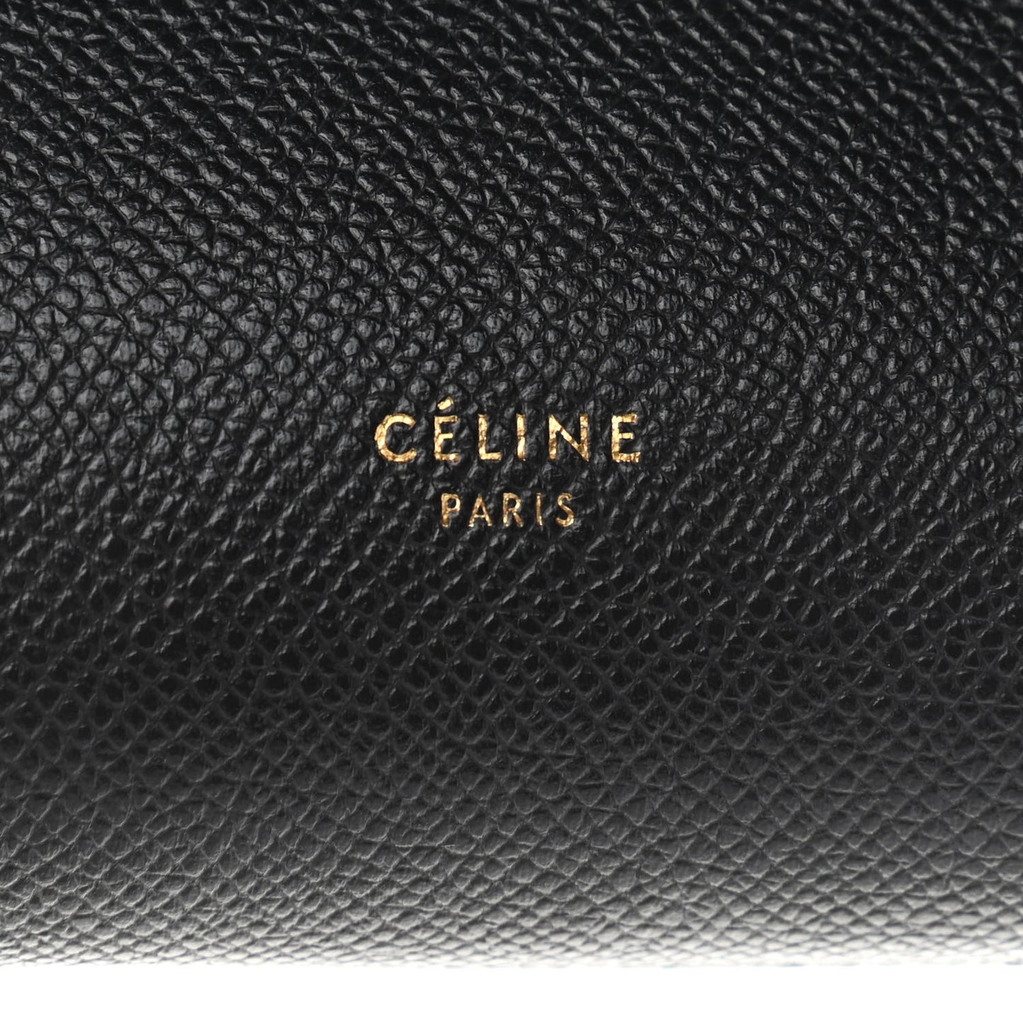Grained Calfskin Nano Belt Bag Black