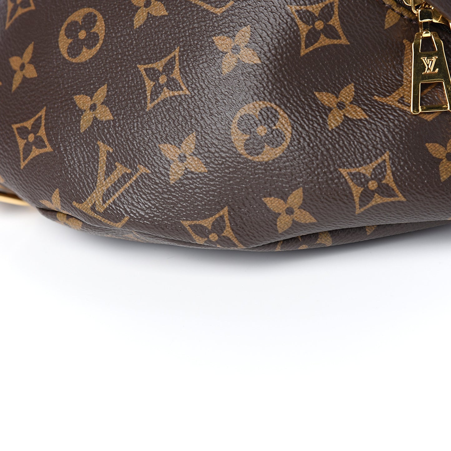 Monogram Bumbag