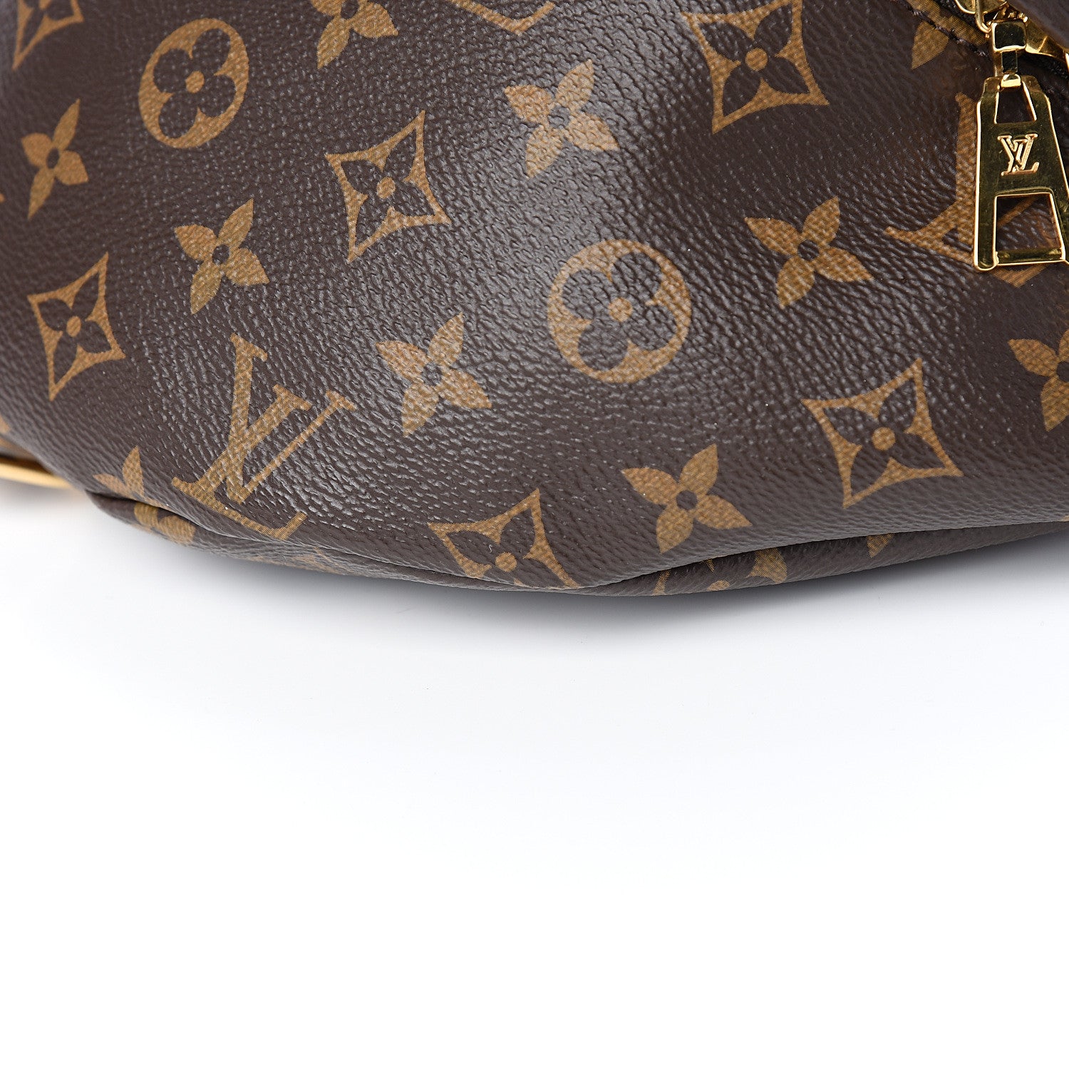 Louis Vuitton Monogram Bumbag 6 of 8