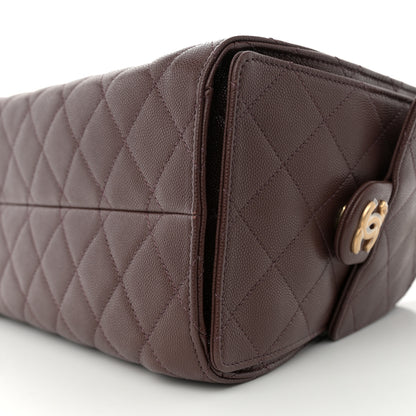 Chanel Caviar Quilted Small Chanel 25 Handbag Dark Brown 9 of 10