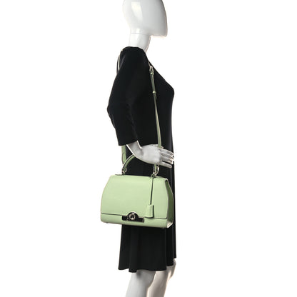 Moynat Taurillon Blush Rejane PM Aqua 2 of 9