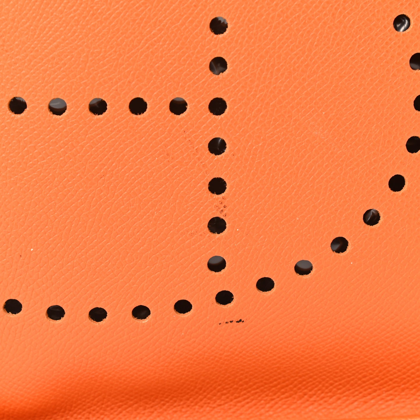 Epsom Evelyne II GM Orange