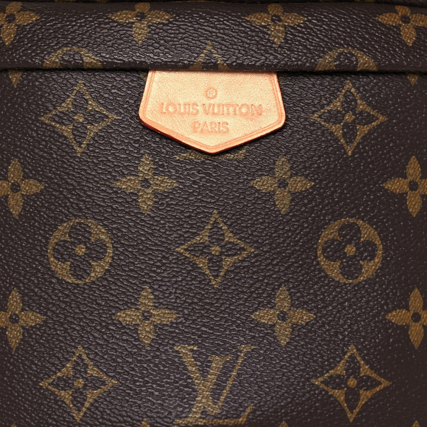 Monogram Bumbag