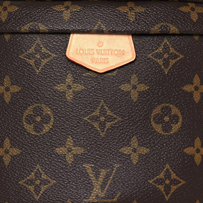 Louis Vuitton Monogram Bumbag 7 of 13